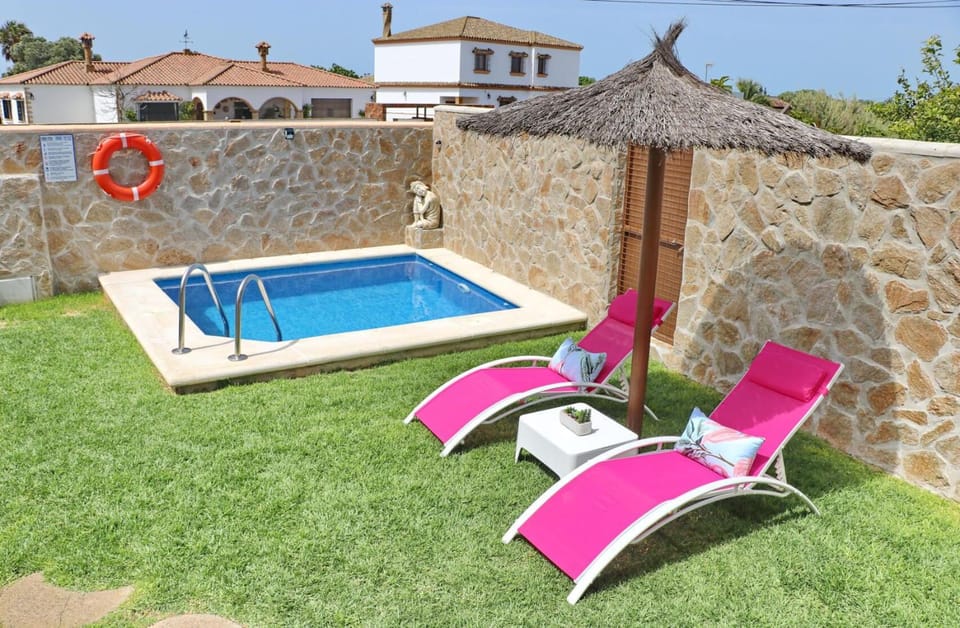 Garden, Swimming pool, sunbed
