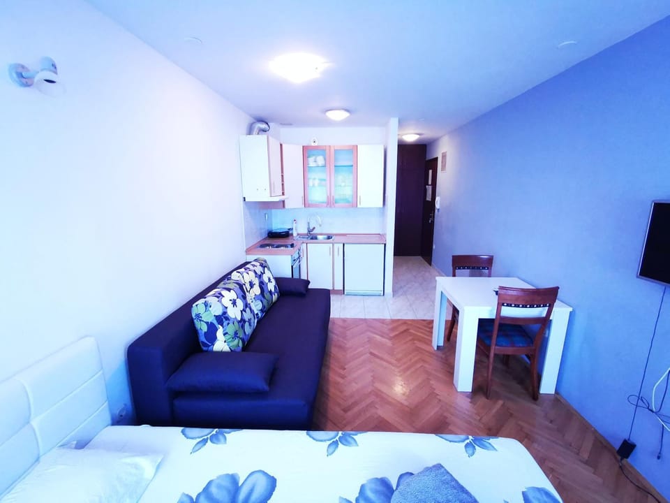 TV and multimedia, Kitchen or kitchenette, Living room, Seating area, Bedroom