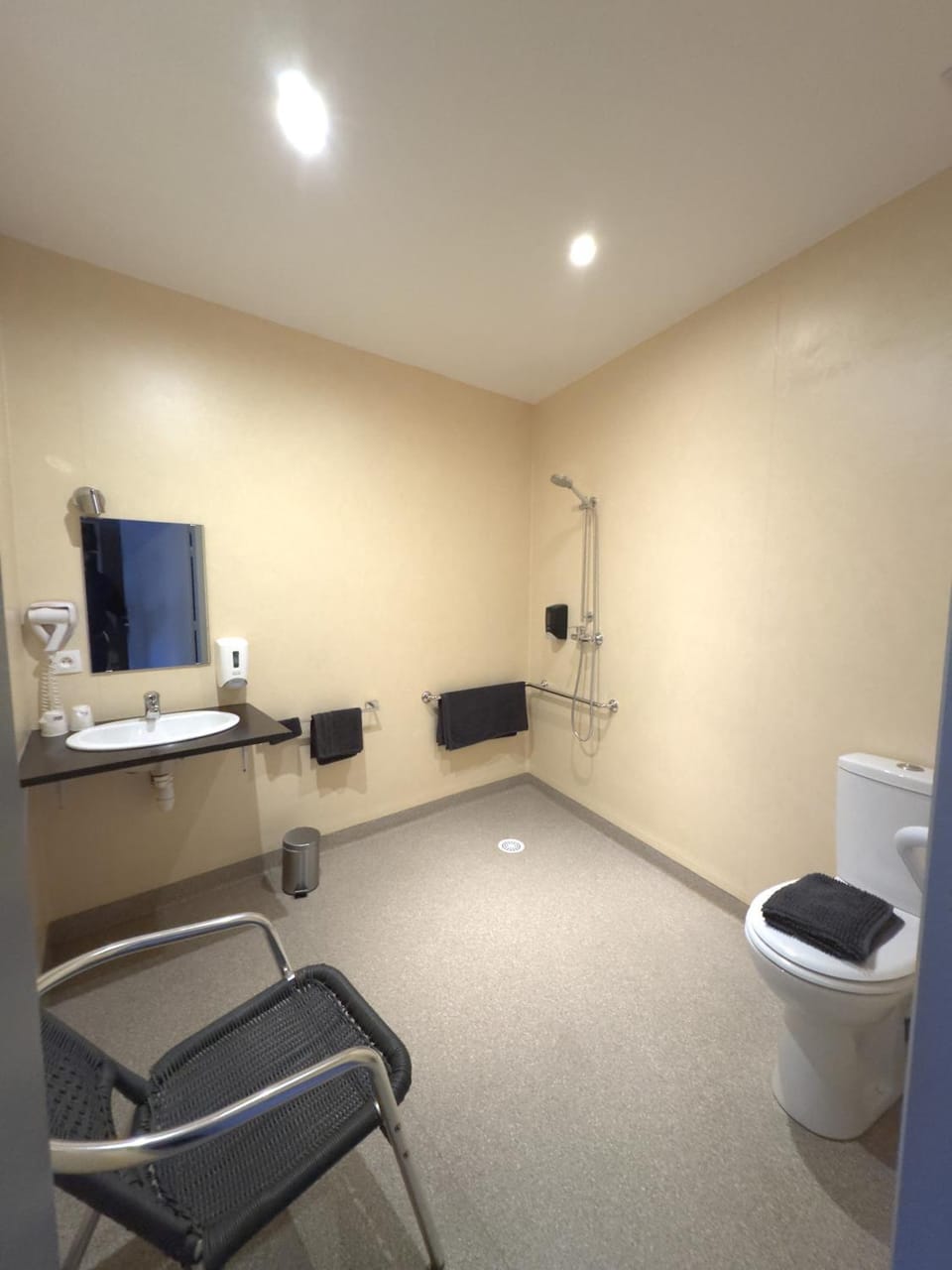 Shower, Toilet, Bathroom, Facility for disabled guests