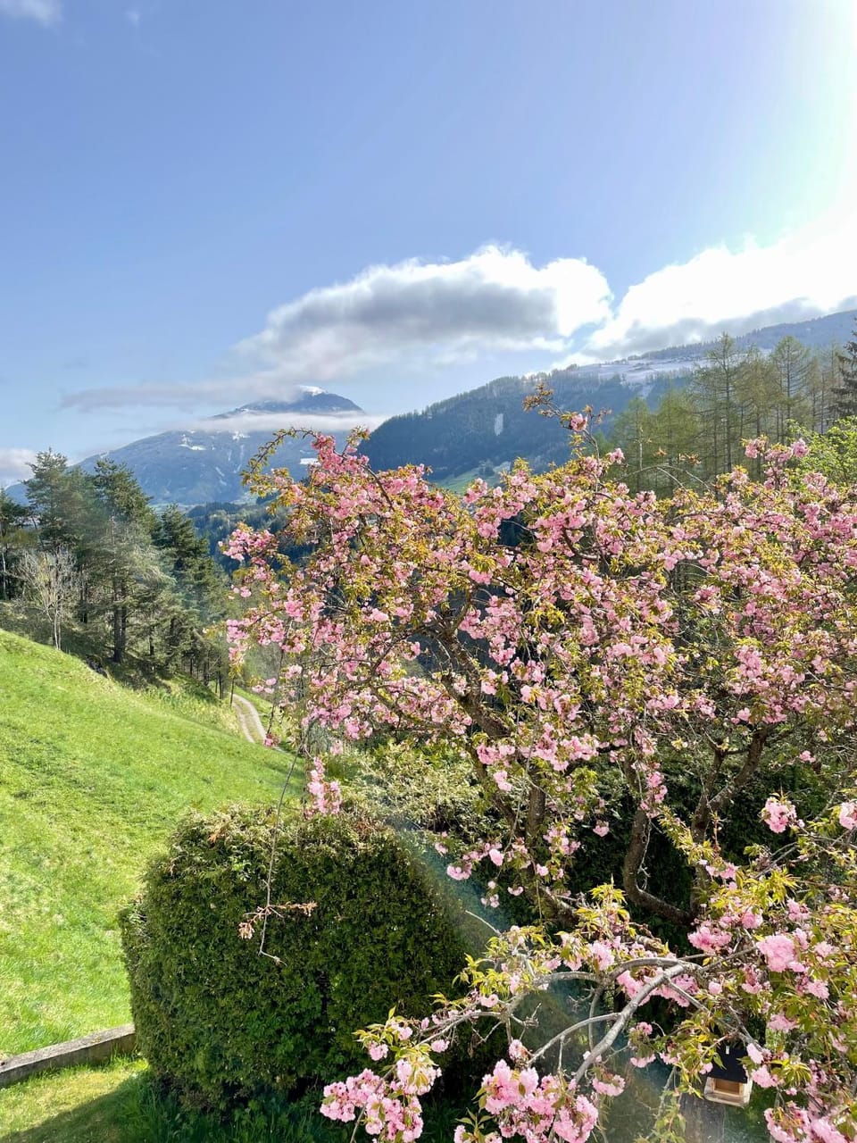 Natural landscape, Garden view