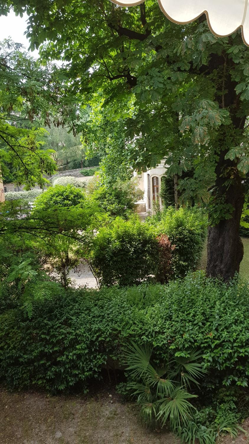 Garden view