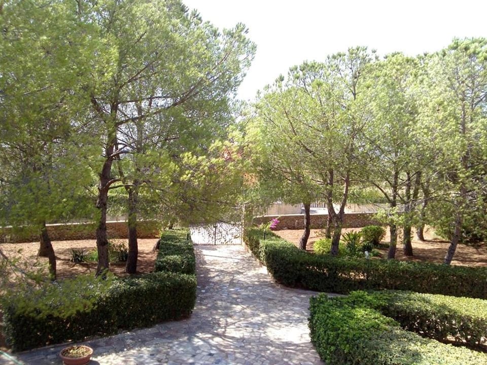 Garden, Garden view, Pool view, Sea view
