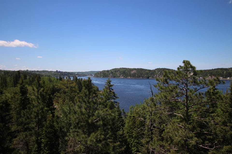 Natural landscape, River view