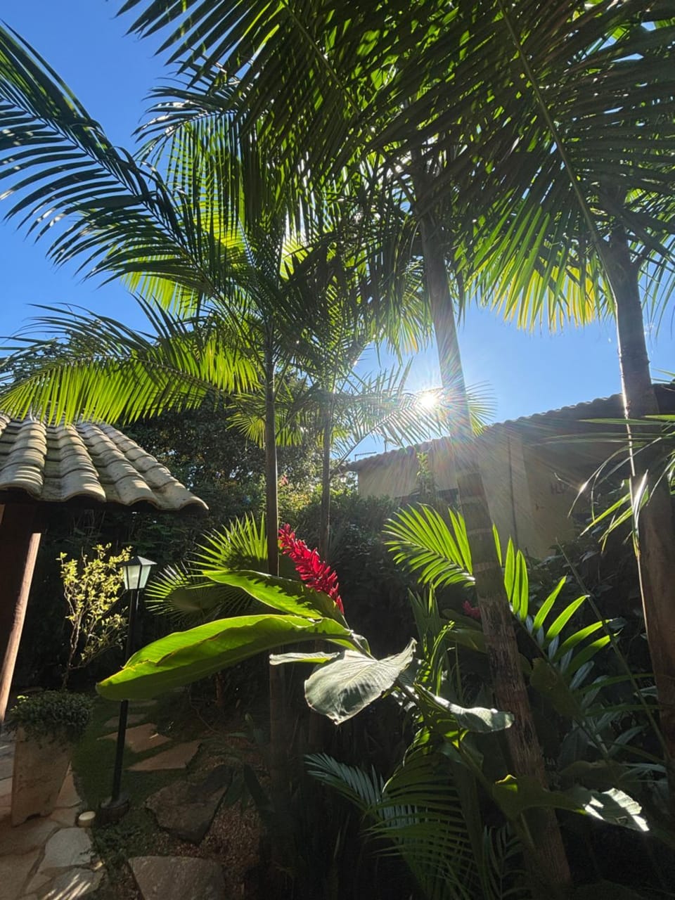 Espaço Amarelo Nature lodge in Pirenópolis