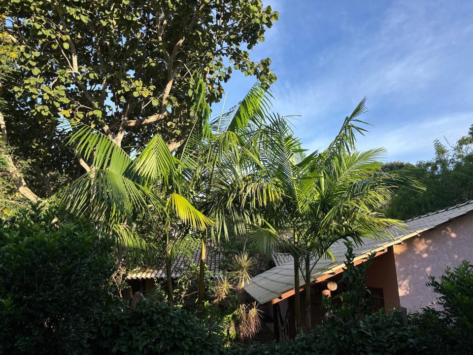 Espaço Amarelo Nature lodge in Pirenópolis