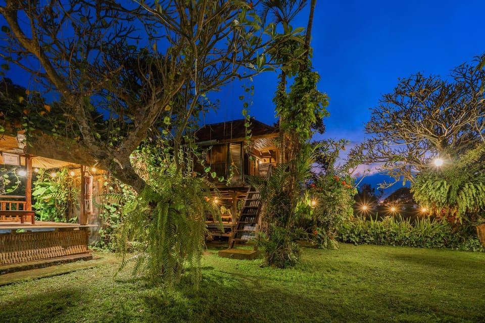 Property building, Night, Garden view