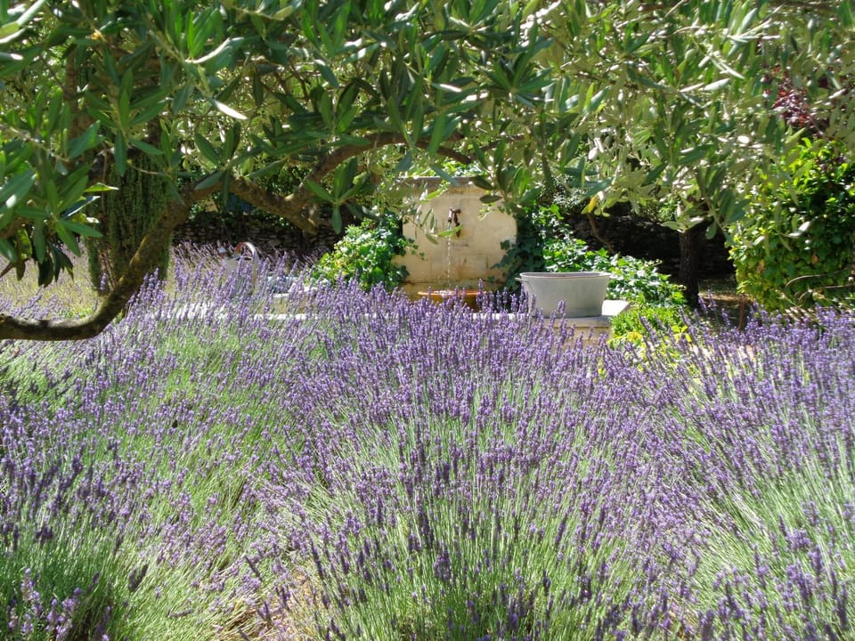 Garden, Balcony/Terrace