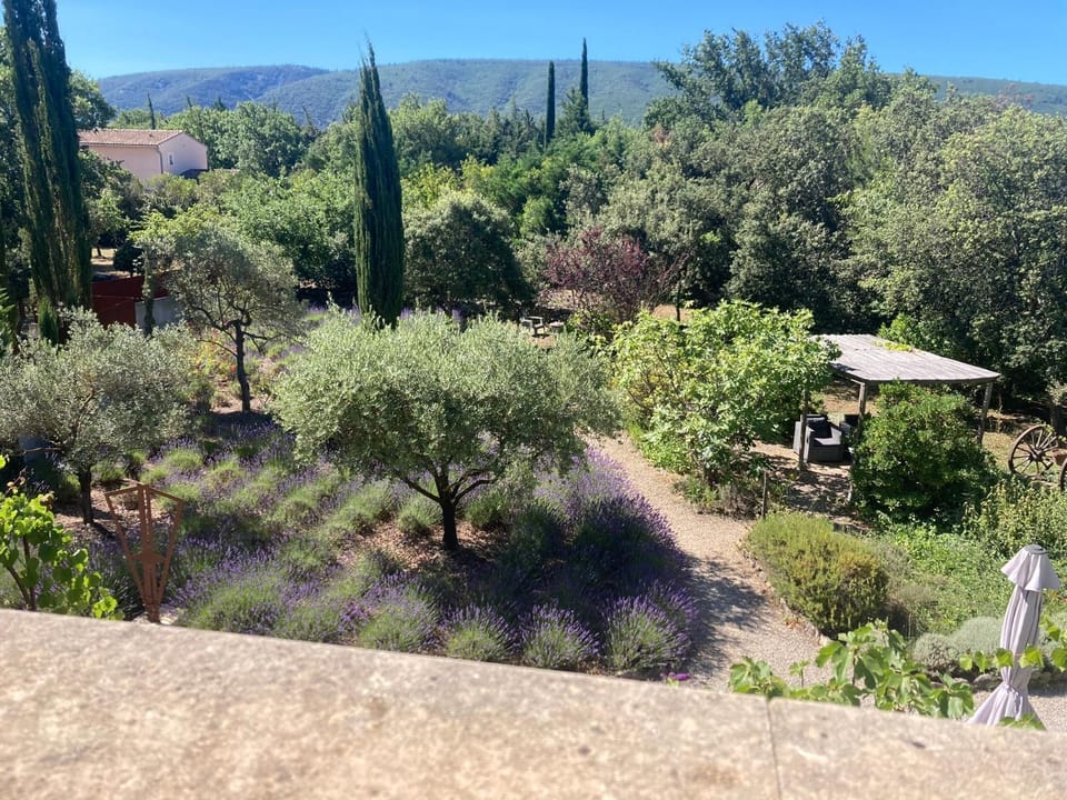 Natural landscape, Garden, Garden view, Mountain view