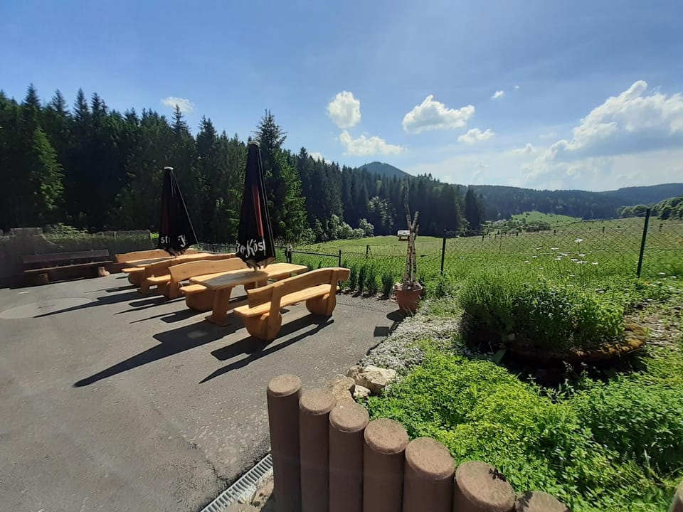 Appartements und Ferienhaus Gasthof Kanzlersgrund Inn in Thuringia, Germany