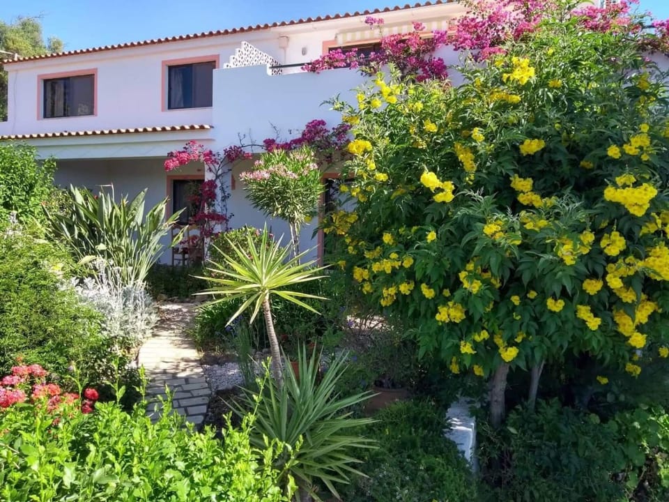 Feliz Apartments Apartment in Faro District