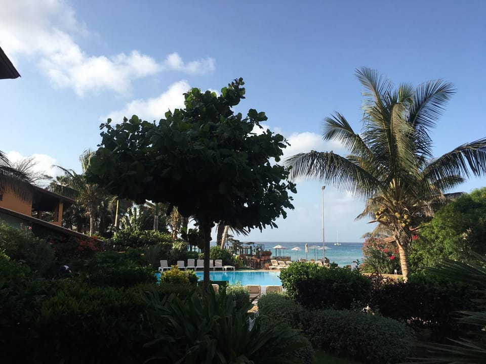 Garden, Swimming pool