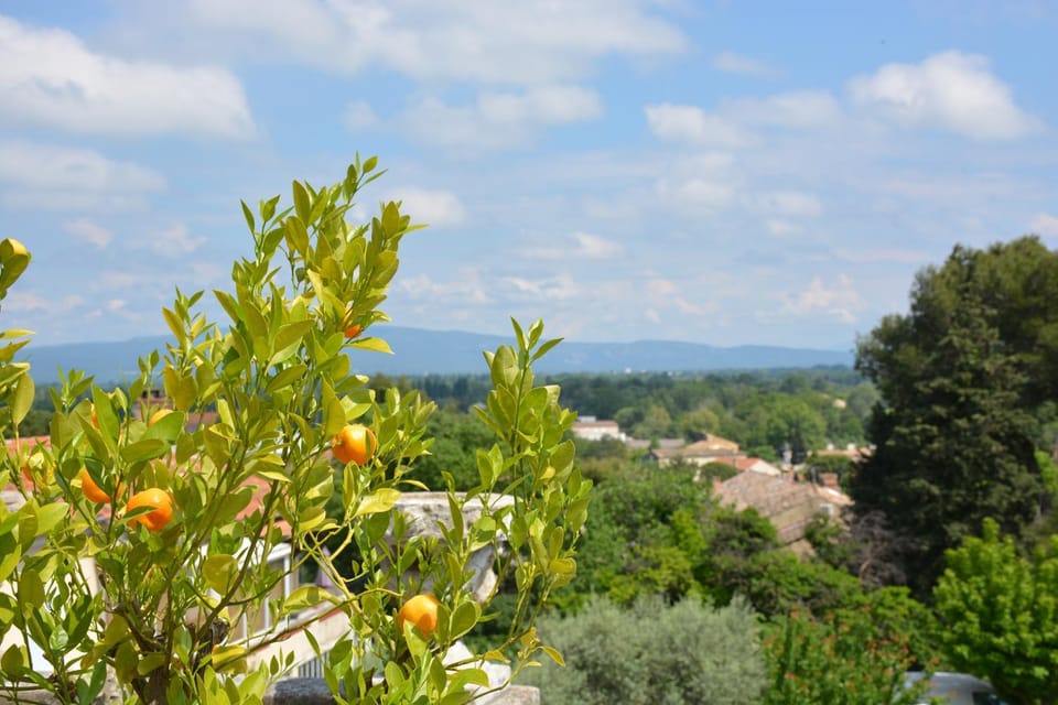 Mountain view