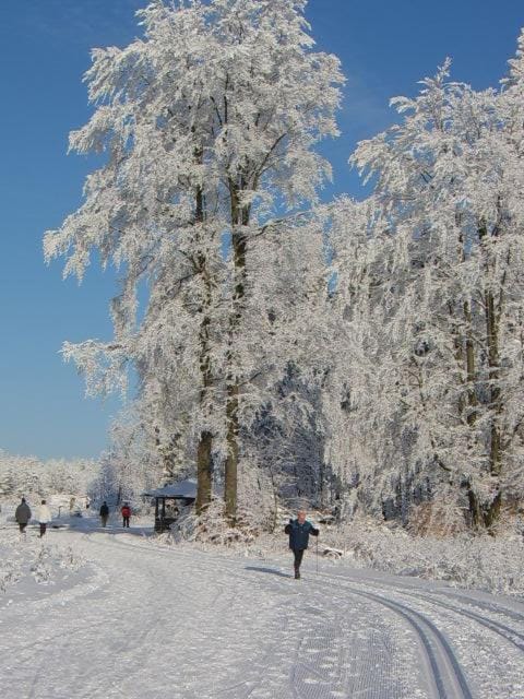 Skiing