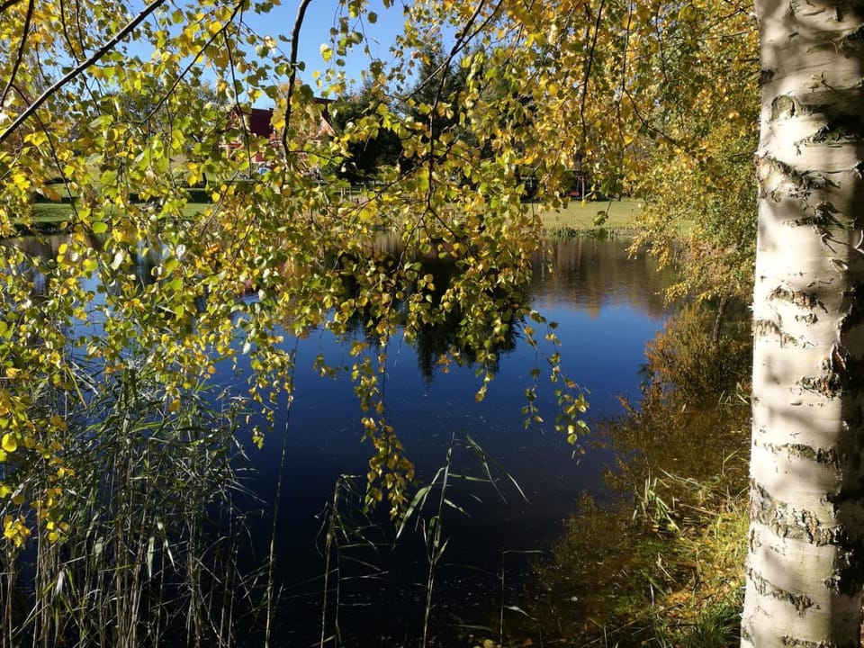 Wydrza-Przystań Farm Stay in Lower Silesian Voivodeship