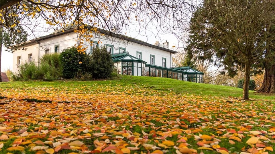 Property building, Garden