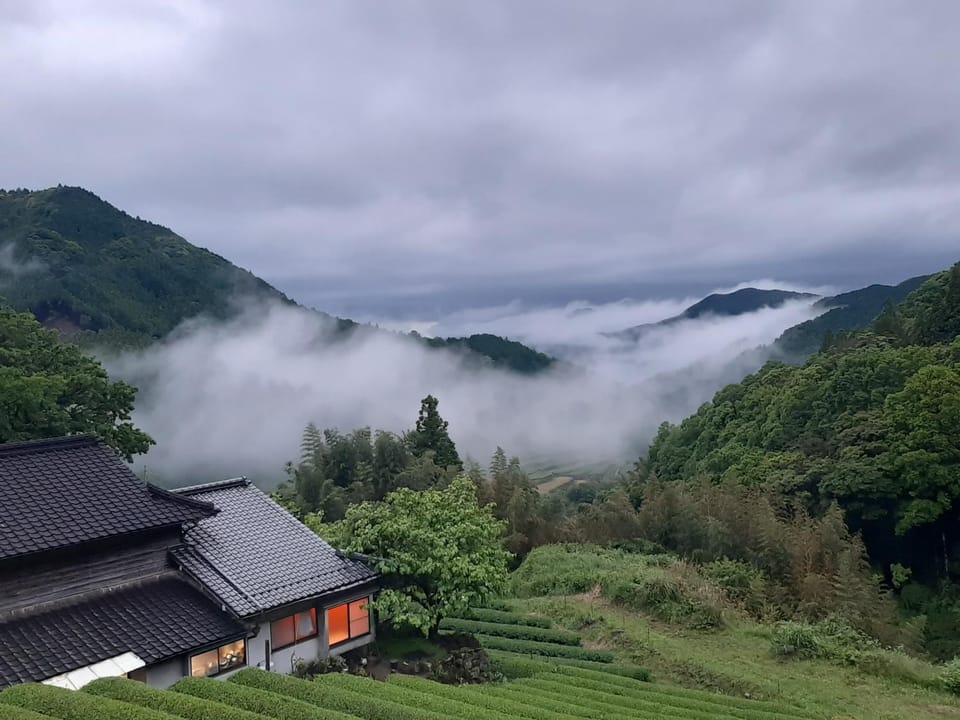 Sky Tea House-Yame Tea Experience Bed and Breakfast in Fukuoka Prefecture