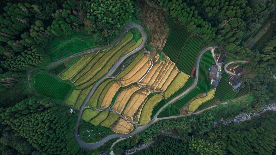 Sky Tea House-Yame Tea Experience Bed and Breakfast in Fukuoka Prefecture