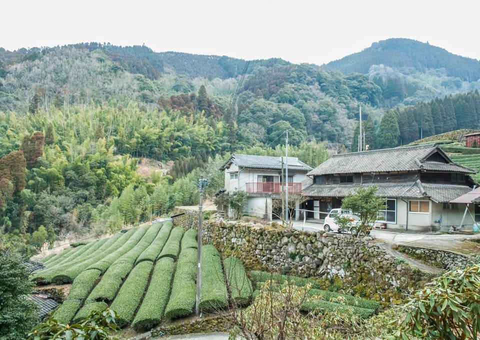 Sky Tea House-Yame Tea Experience Bed and Breakfast in Fukuoka Prefecture