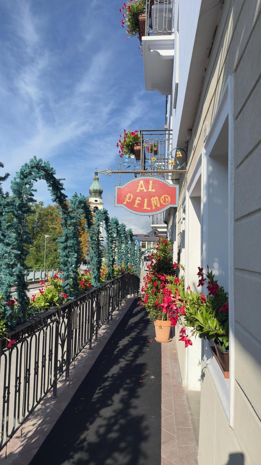 Hotel Al Pelmo Hotel in Veneto