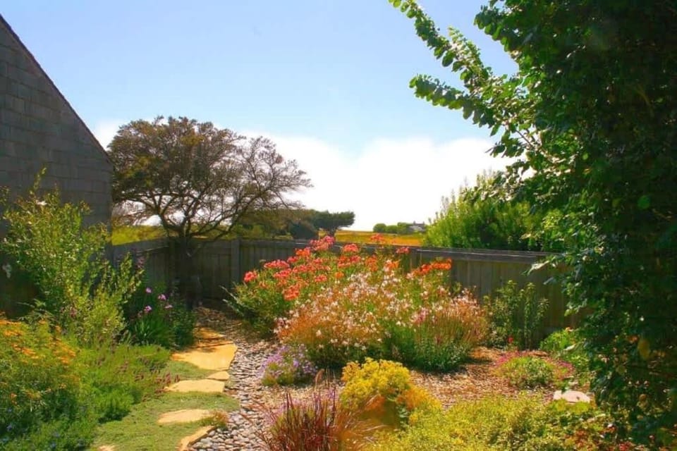 Cadwalader House House in Sonoma County