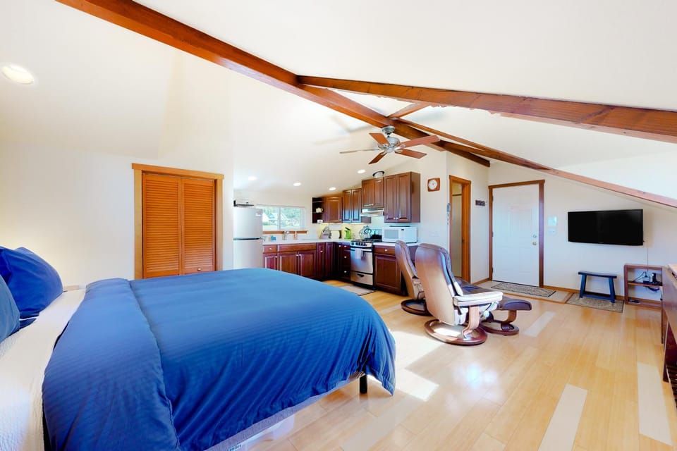 Oceanview Studio - Beach Fireplace & Deck House in Elk