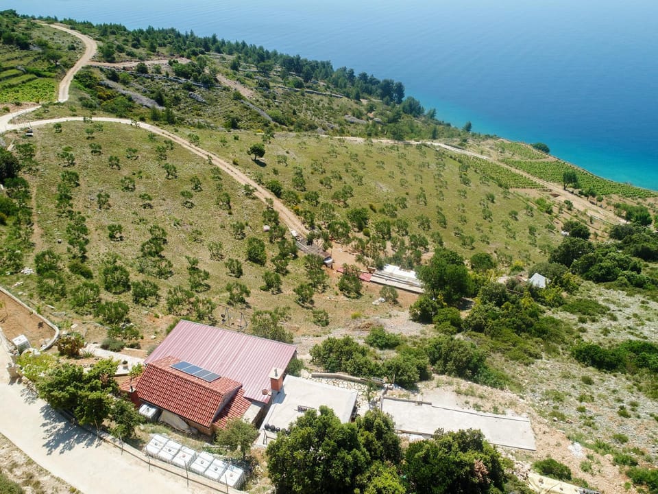 Property building, Natural landscape, Bird's eye view