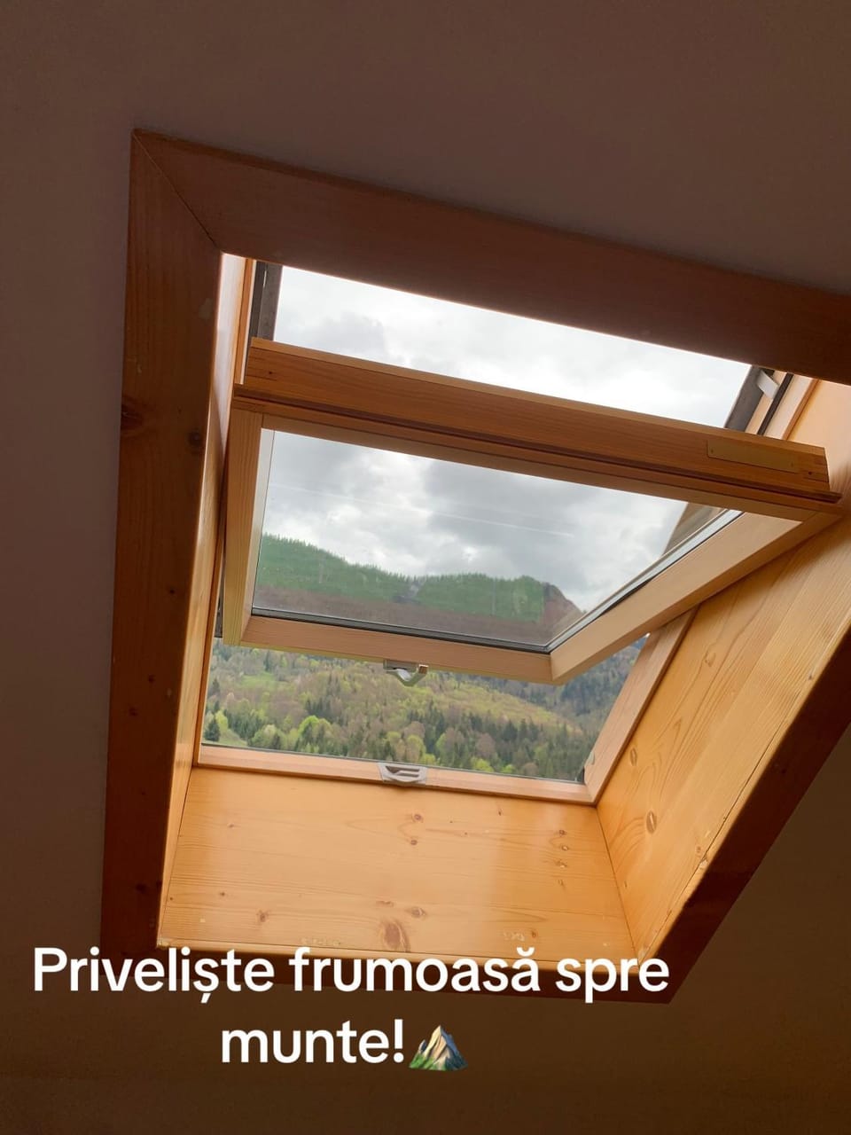 Pensiunea Casa Iancului Bed and Breakfast in Hungary