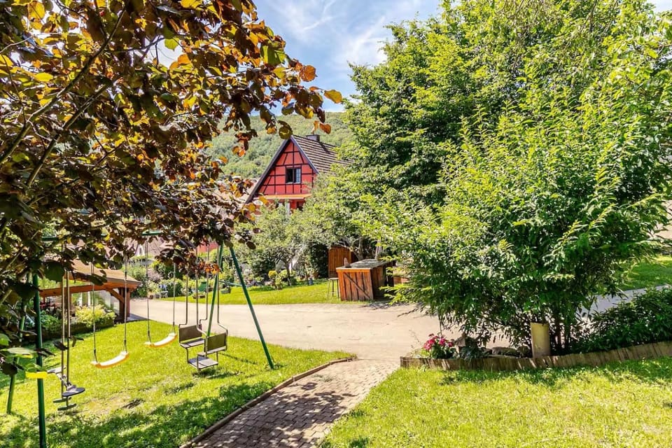 Spring, Day, Garden