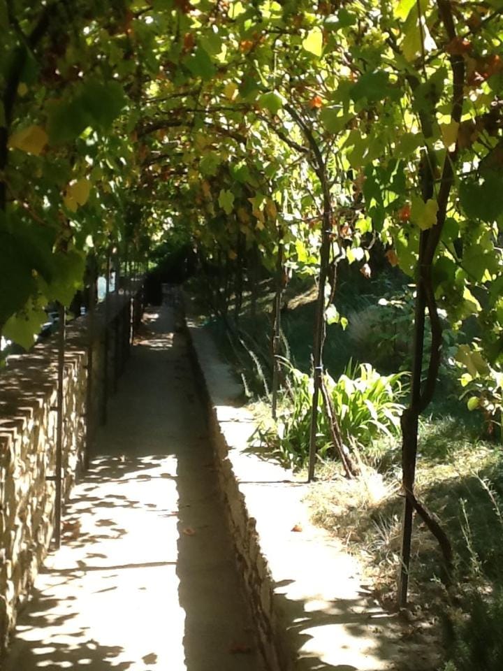 Garden Apartment Apartment in Tuscany