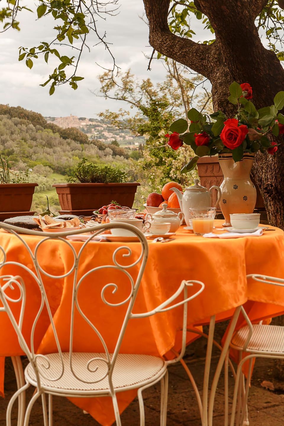 Garden, Italian breakfast