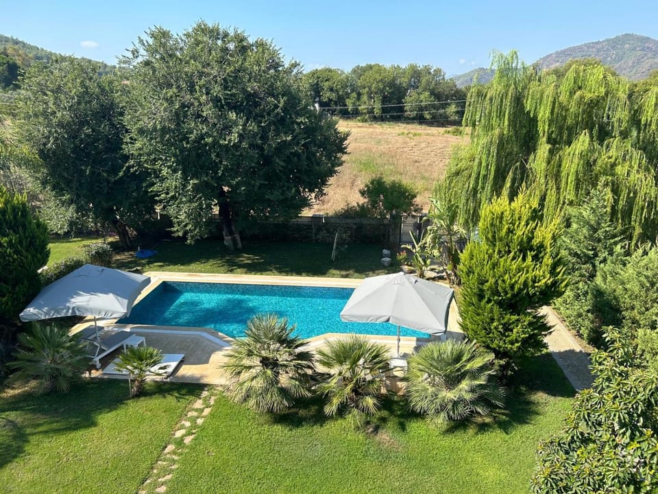 Natural landscape, Garden view