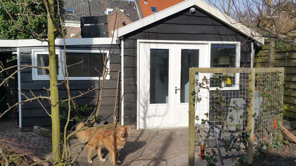 Garden, Animals, Pets