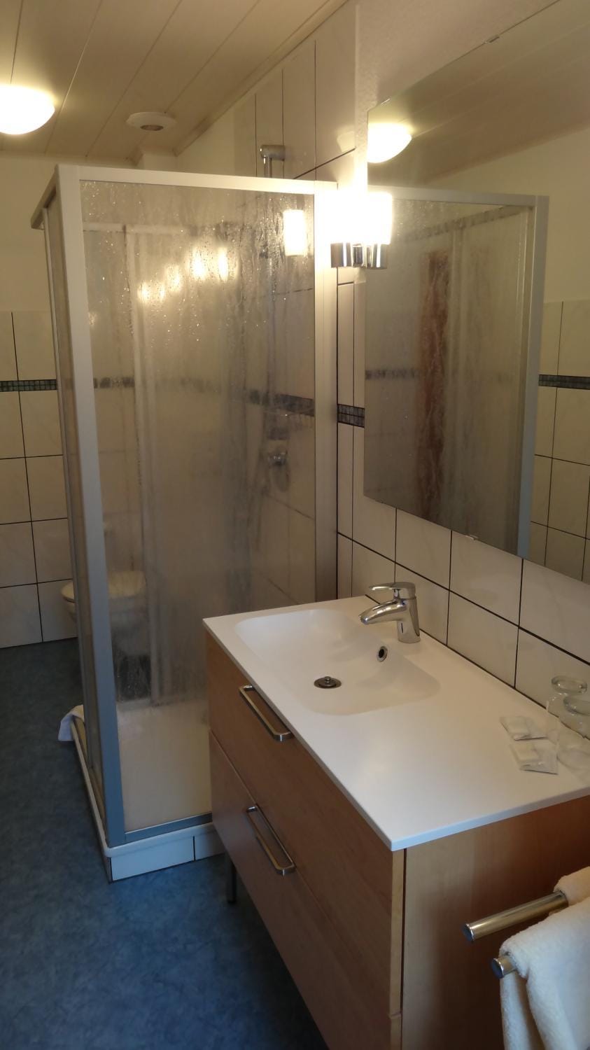 Shower, Toilet, Bathroom, Photo of the whole room