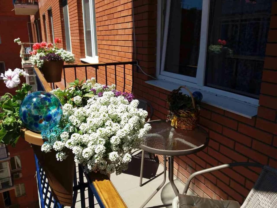 Apartment Book 19 Apartment in Odessa
