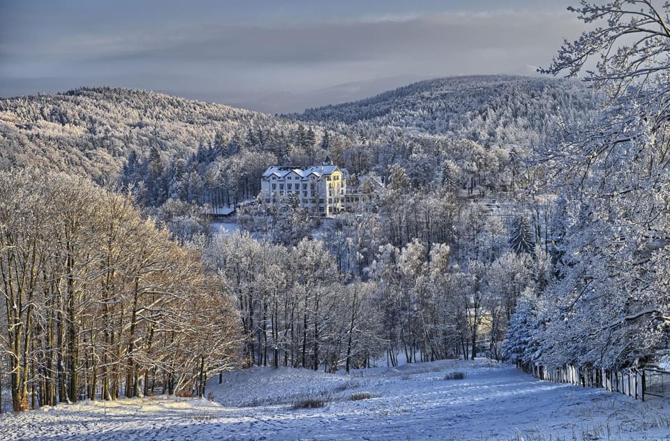 Winter, Area and facilities