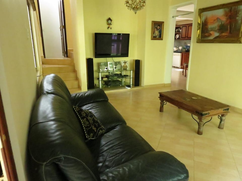 TV and multimedia, Living room