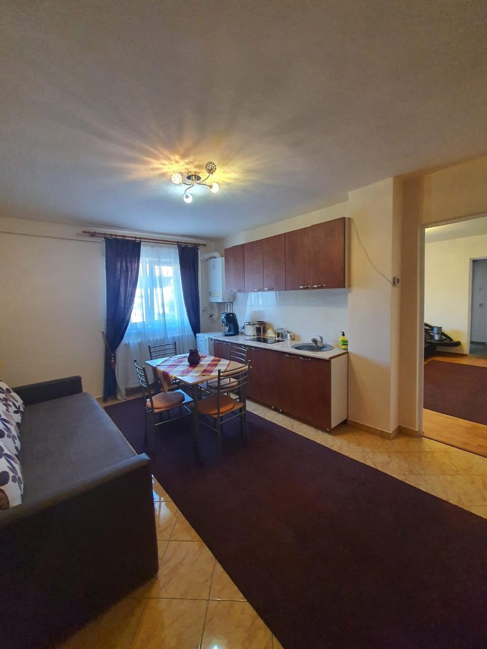 Cetate Apartament Apartment in Romania