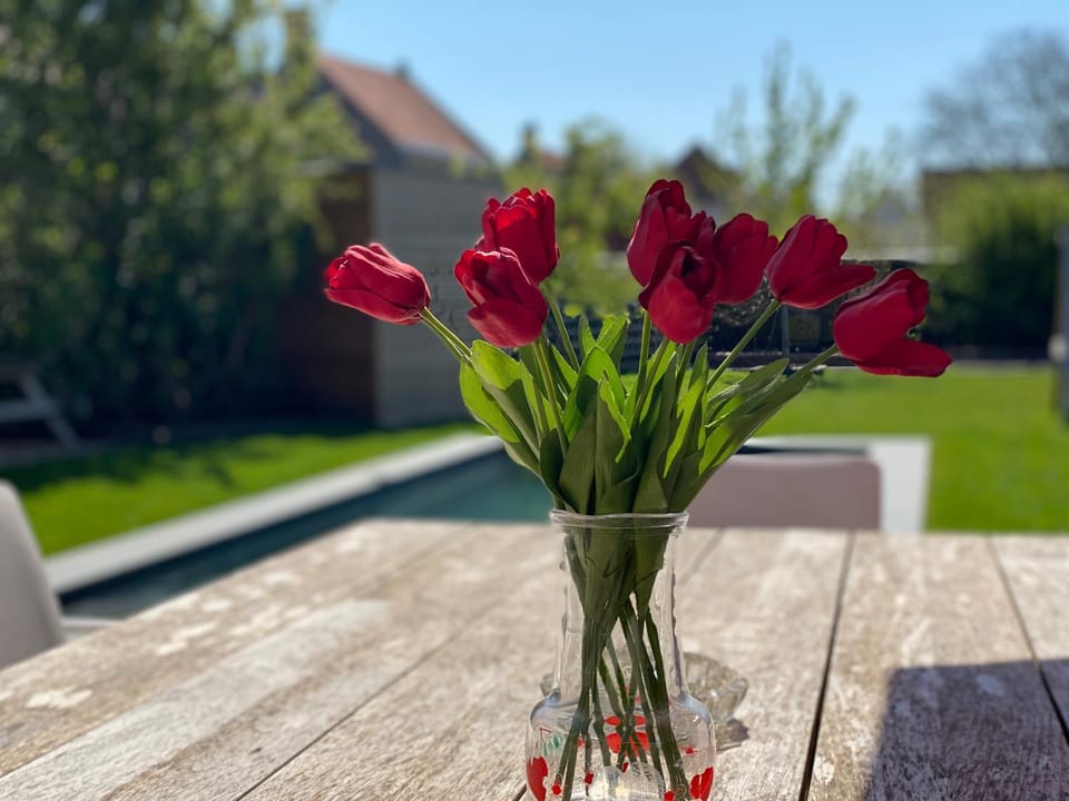 Patio, Garden, Balcony/Terrace