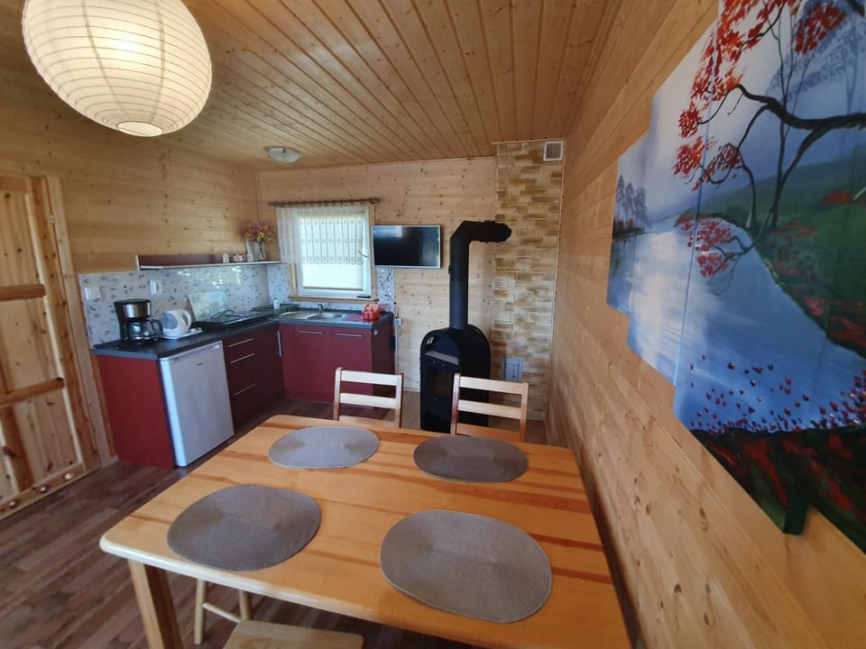 Kitchen or kitchenette, Dining area, oven, stove