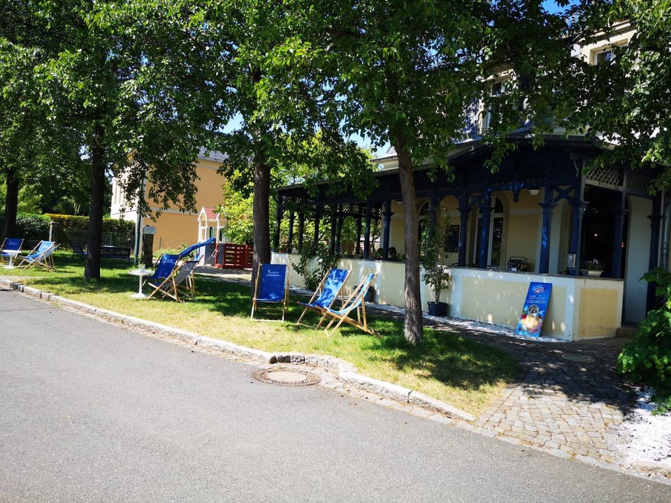 Day, Garden, Garden view, sunbed
