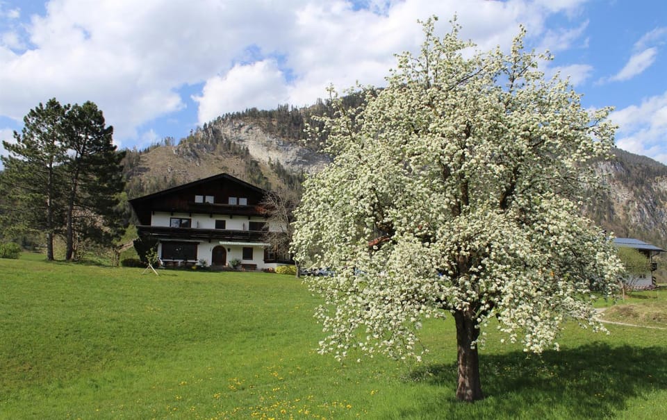 Pension Christoph Apartment in Tyrol