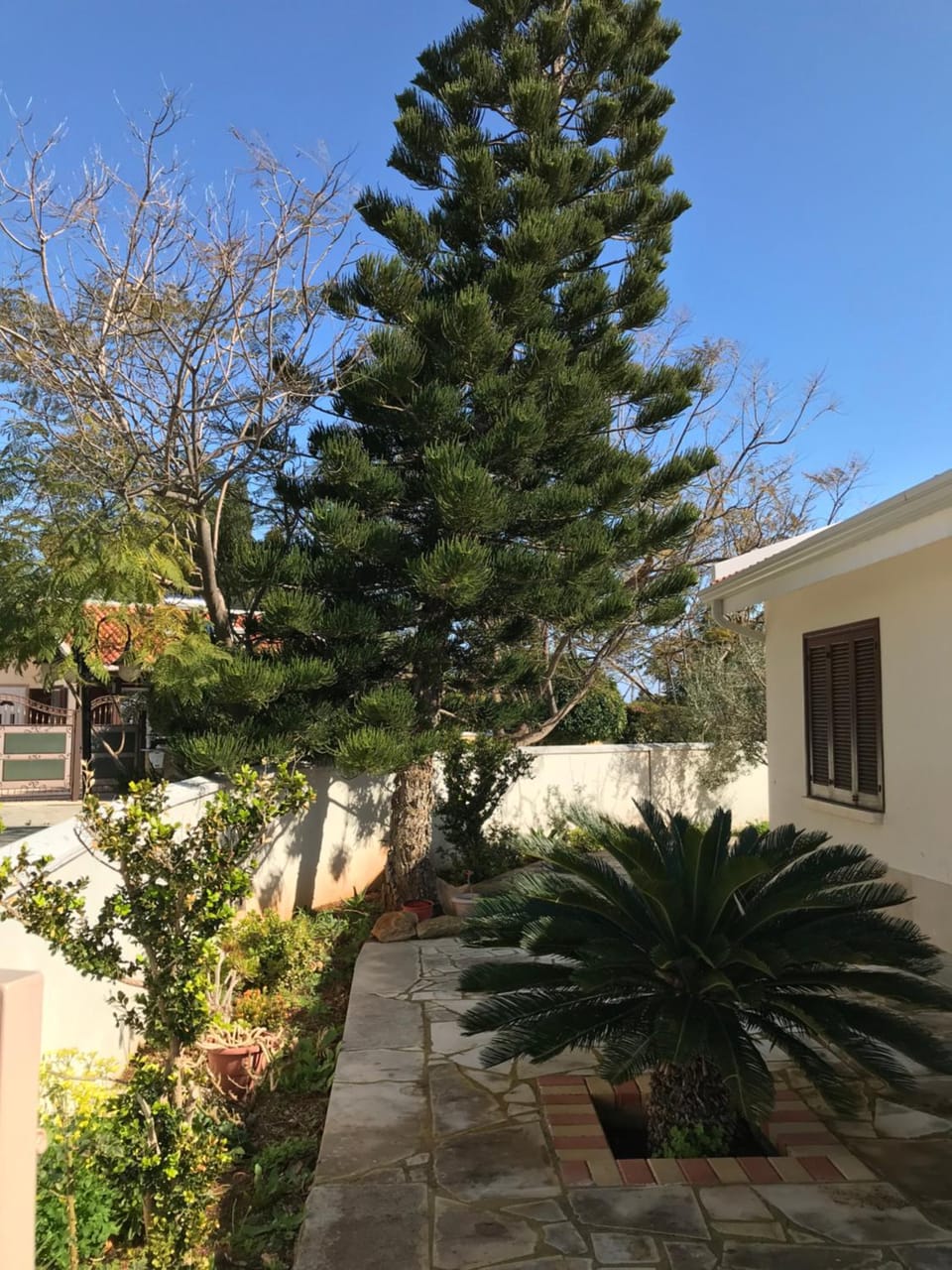 Property building, Garden