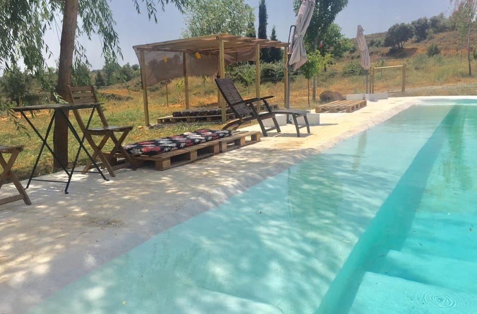 Swimming pool, Swimming pool