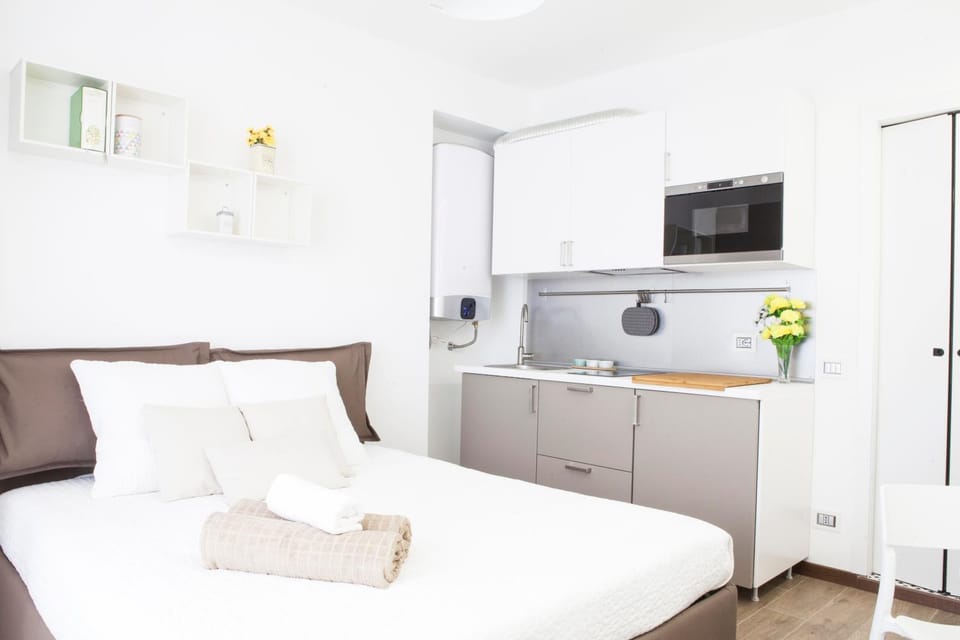 Kitchen or kitchenette, Living room, Photo of the whole room, Decorative detail, Bedroom