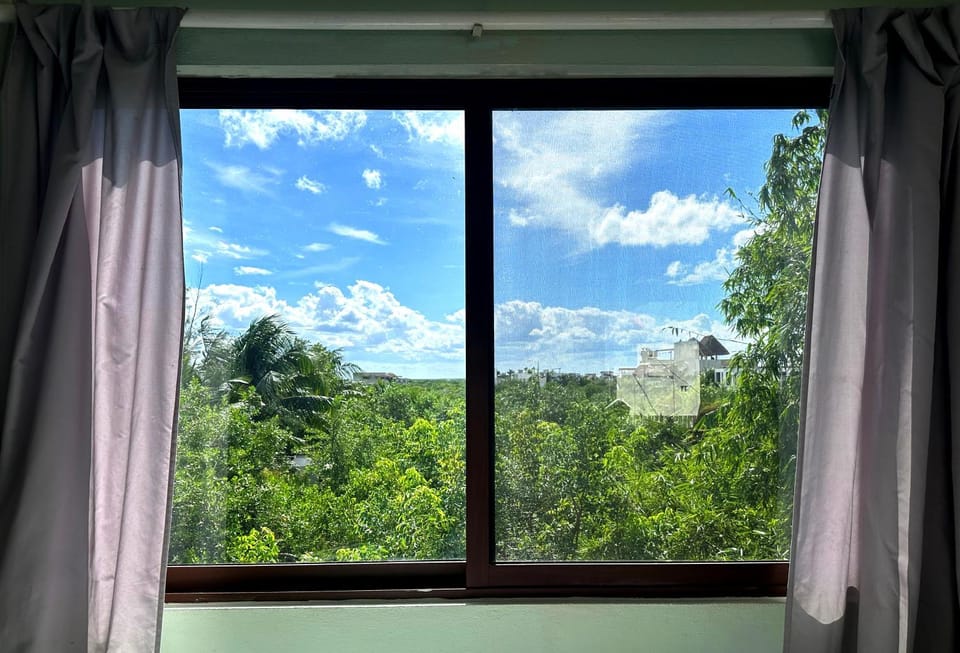 Day, Natural landscape, Bedroom, Garden view