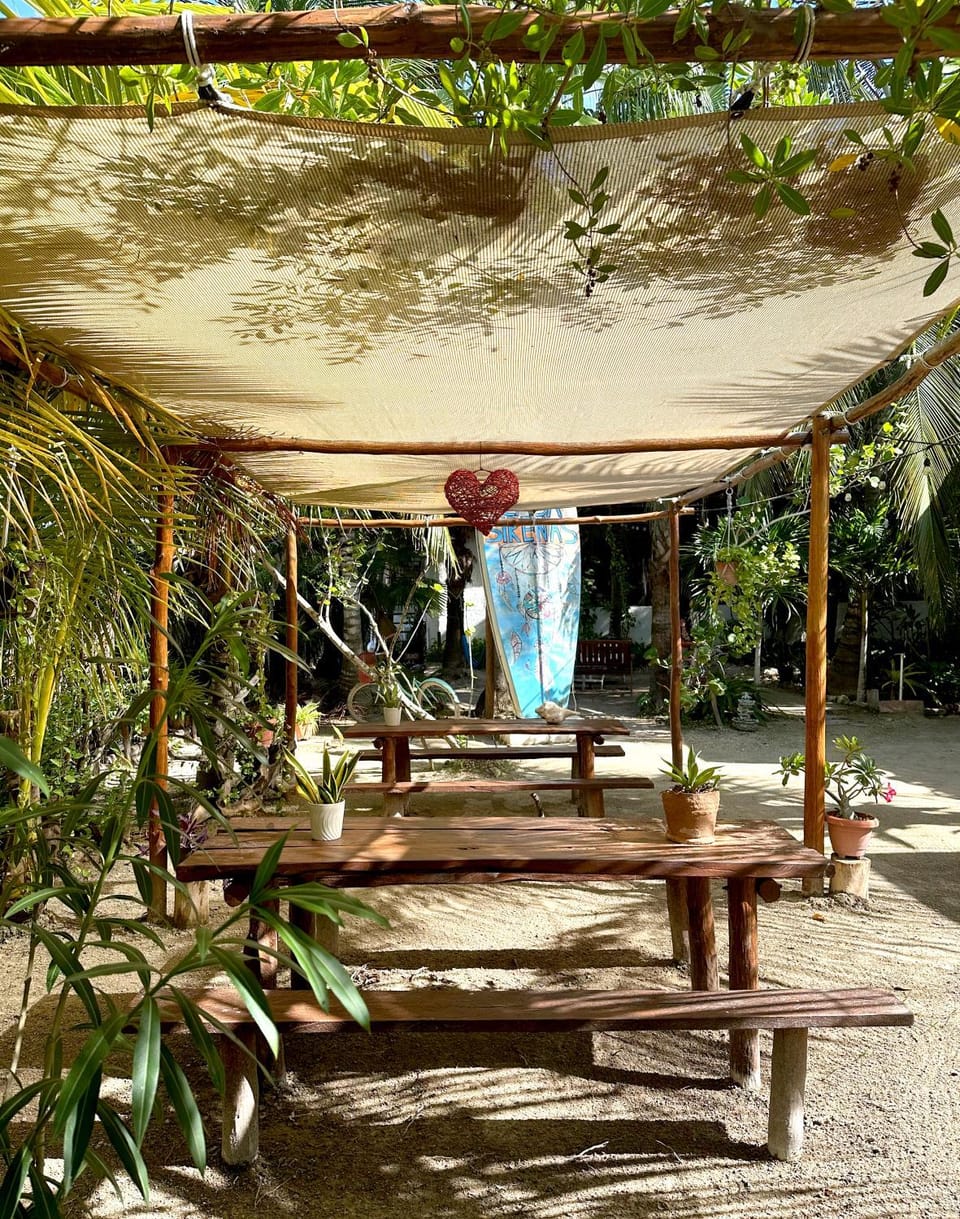 Patio, Day, Garden, Garden view