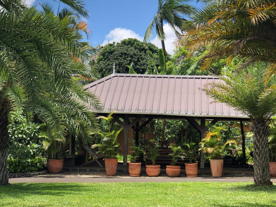 Patio, Garden
