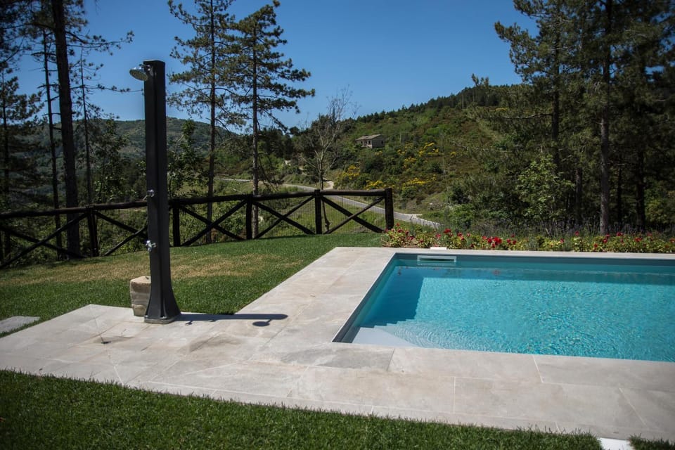 Landmark view, Mountain view, Pool view, Street view