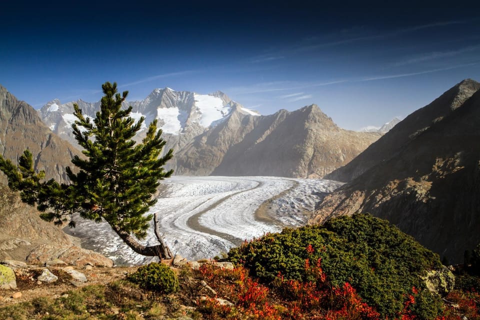Natural landscape