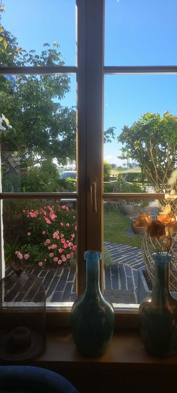 Property building, Garden, Living room